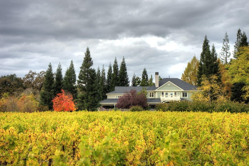 Barossa Valley Barn